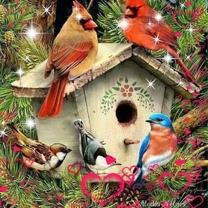 Meet your Posher, Patricia